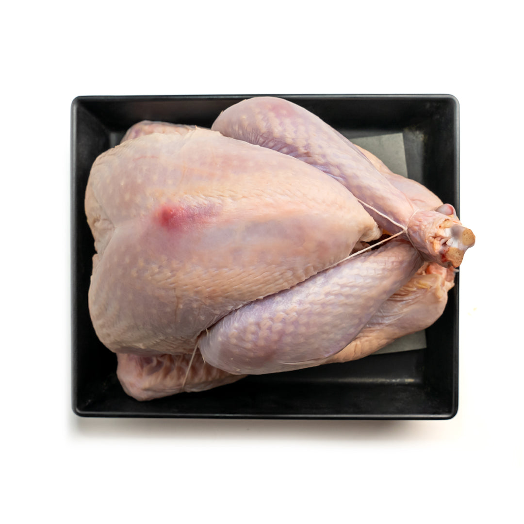 Whole Turkey (Fresh)