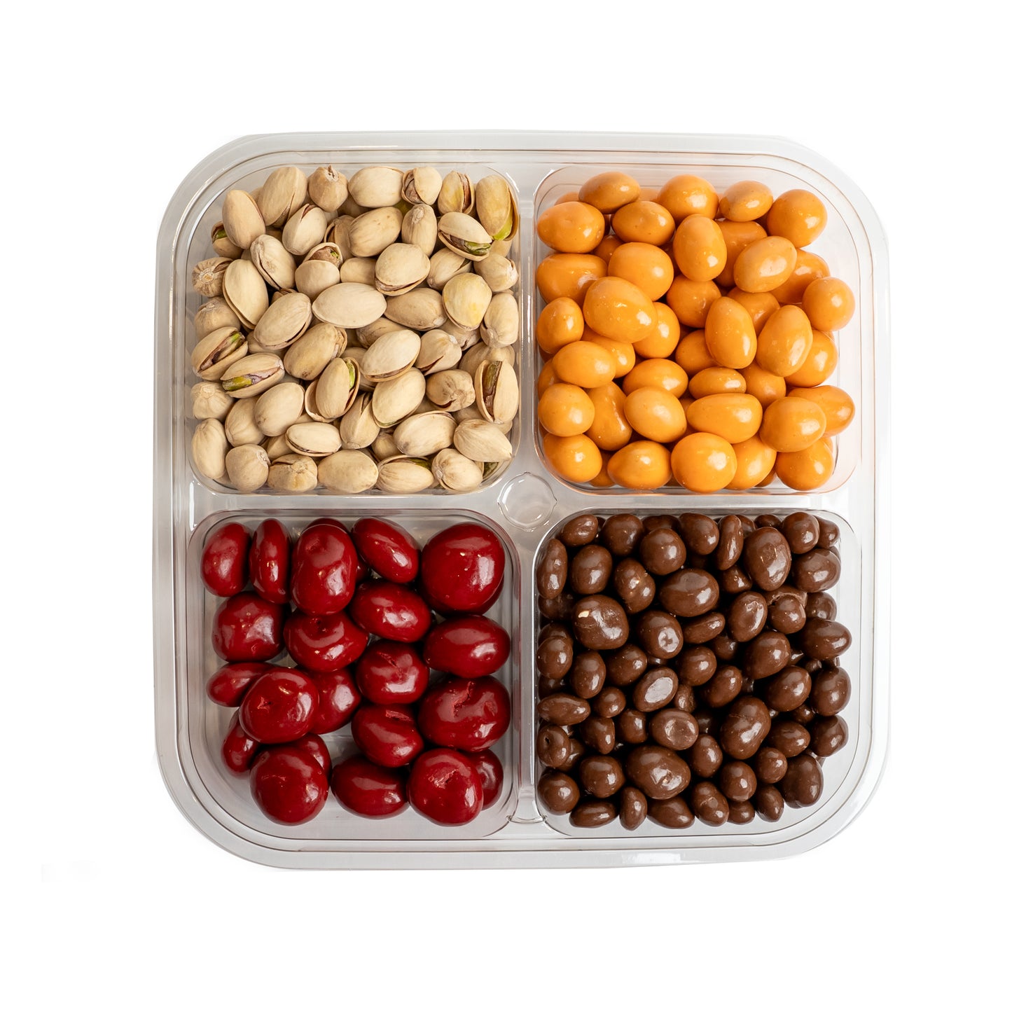 Festive Delight Square Snack Tray