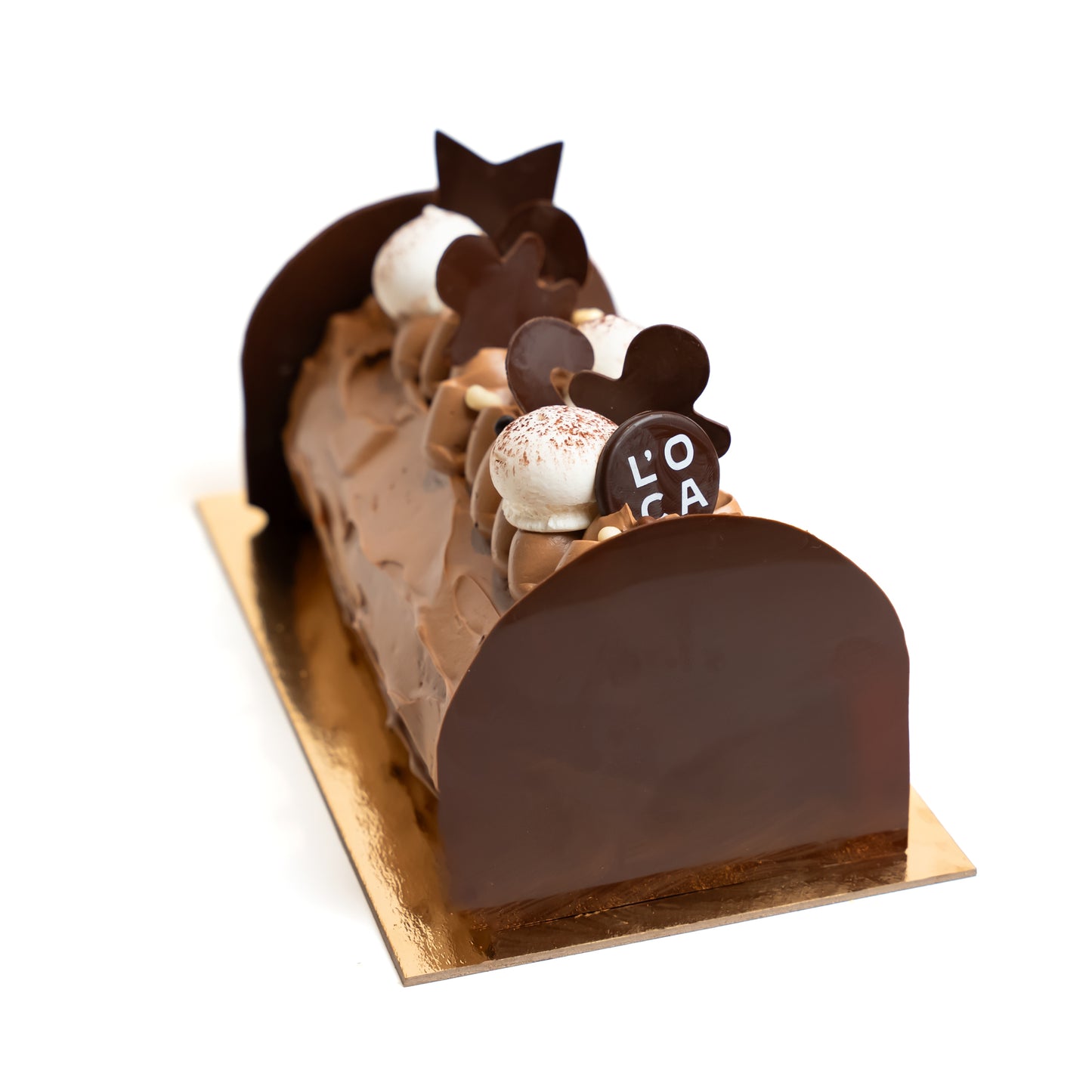 Chocolate Caramel Praline Yule Log